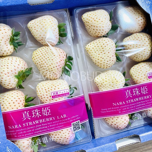 White Strawberries from Japan One of Japanese Luxury Fruits